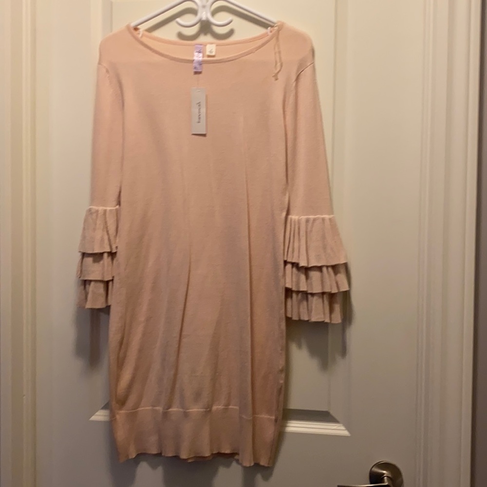 NWT Francesca’s Bell Sleeve Sweater Dress